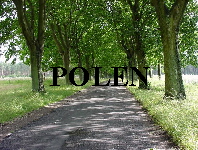 POLEN