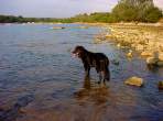 DSC02087.JPG