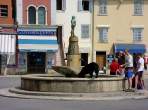DSC02150.JPG