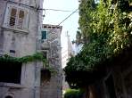 DSC02157.JPG