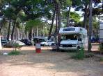 DSC02177.JPG
