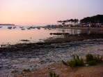 DSC02220.JPG