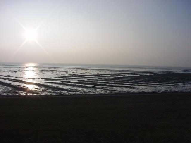 DSC04197.JPG