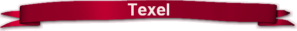 Texel