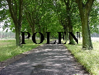 POLEN